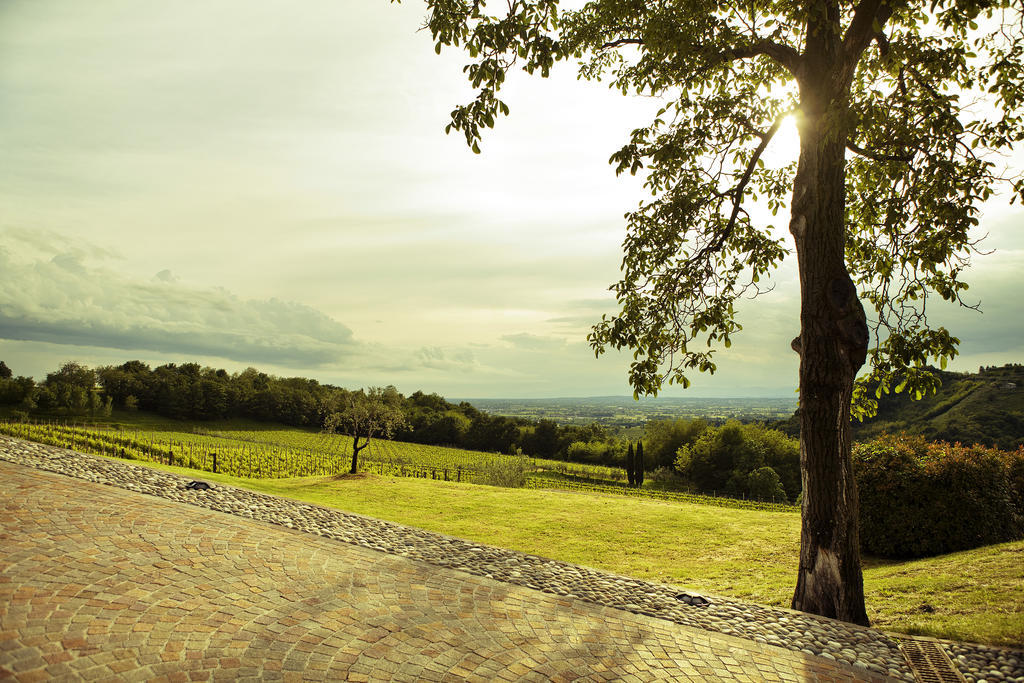 Agriturismo L'Uva E Le Stelle Faedis Exterior photo